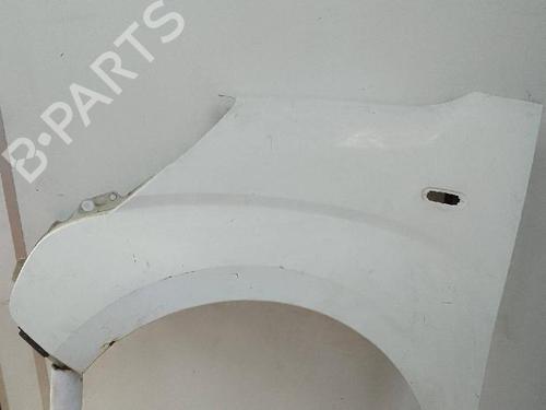 Left front fenders FIAT QUBO (225_) 1.3 D Multijet (225AXE1A, 225CXE1A, 225AXH1A, 225AXL1A,... | BP24628550C41