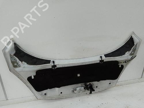 Hood RENAULT SCÉNIC III (JZ0/1_) 1.2 TCe | BP26593688C1