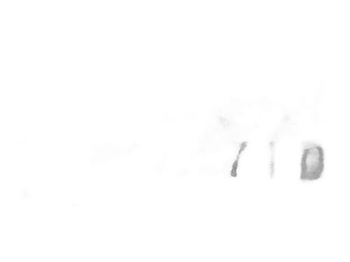 Hjulbue VW GOLF VIII (CD1, DA1) 2.0 GTI | BP31967955C56 