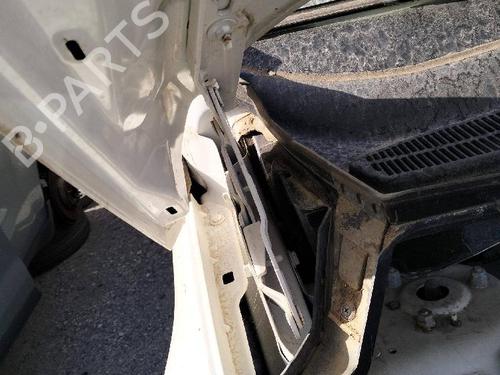 Hinge/Door check strap FORD ECOSPORT 1.5 EcoBlue TDCi | BP19124930C146