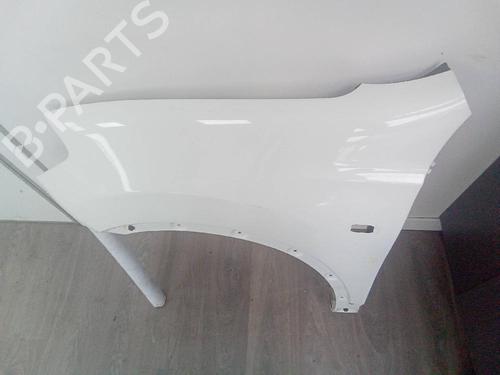 Left front fenders NISSAN QASHQAI / QASHQAI +2 I (J10, NJ10, JJ10E)  | BP20505234C41 