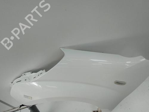 Left front fenders FIAT QUBO (225_) 1.3 D Multijet (225CXB1A, 225AXB1A, 225CXB11, 225AXB11,... | BP26285561C41