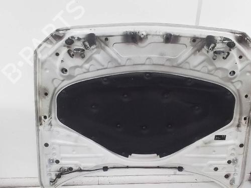 Hood BMW 1 (F21) 116 d 41007290942