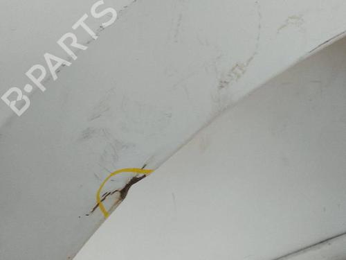 Left front fenders FIAT QUBO (225_) 1.3 D Multijet (225AXE1A, 225CXE1A, 225AXH1A, 225AXL1A,... | BP24628550C41