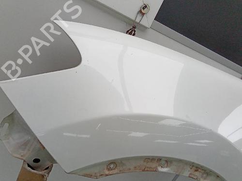 Left front fenders NISSAN QASHQAI / QASHQAI +2 I (J10, NJ10, JJ10E) 1.6 dCi | BP20143864C41 