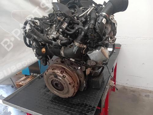 Engine AUDI Q5 (FYB, FYG) 2.0 TDI | BP25734301M1 