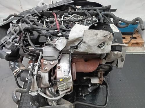 Engine VW GOLF VII (5G1, BQ1, BE1, BE2) 1.6 TDI | BP26651538M1