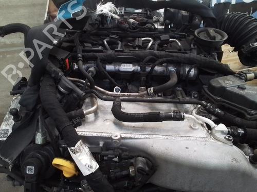 Engine VW GOLF VIII (CD1, DA1) 2.0 TDI | BP28350563M1 