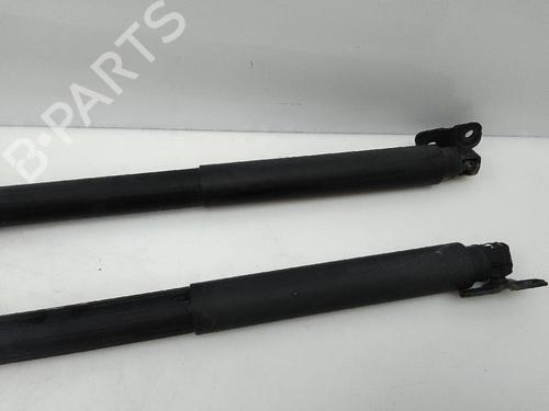 Tailgate lift support BMW 3 Touring (F31)  | BP21783379C138 