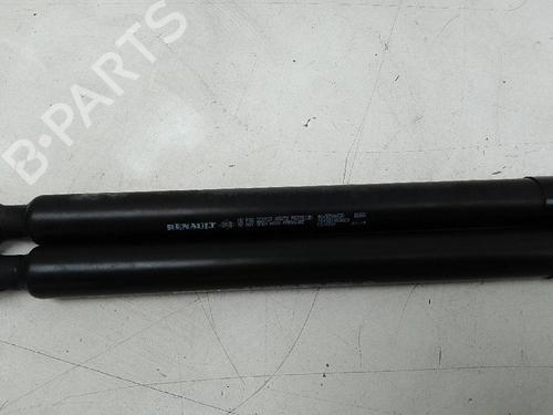 Used Tailgate lift support DACIA SANDERO II TCe 90 (B8M1, B8MA, B8AC) (90 hp) 18736792