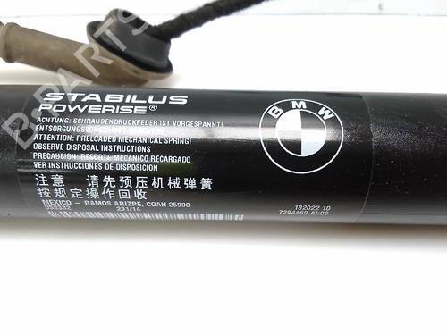 Tailgate lift support BMW X5 (F15, F85) xDrive 30 d | BP23142338C138