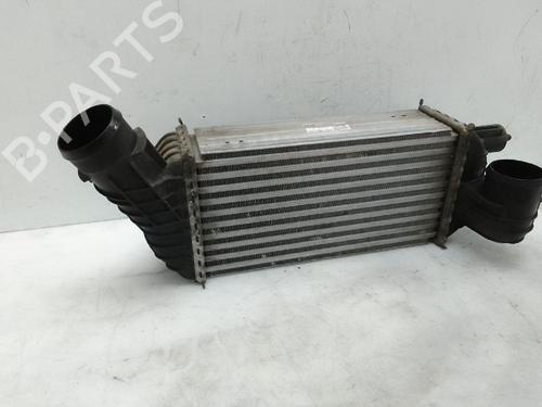 Intercooler PEUGEOT 3008 I MPV (0U_) 2.0 HDi 150 / BlueHDi 150 | BP27494600M30 