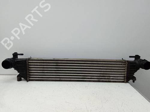 Used Intercooler Intercooler FIAT TIPO Saloon (356_, 357_) 1.3 D (356SXB1A, 356SXH1A, 356SXD1A) (95 hp) 20207834 20207834