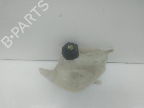 Used Expansion tank RENAULT KADJAR (HA_, HL_) 1.6 dCi 130 (HLA4) (130 hp) 22777885