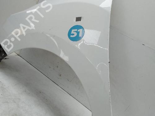 Left front fenders DACIA SANDERO 1.5 dCi | BP26284296C41