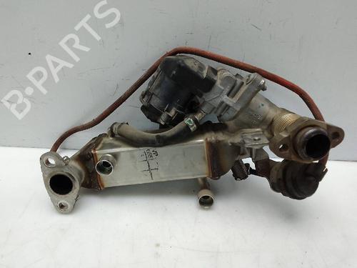 Egr BMW 1 (E81) 116 d | BP24588134M69 