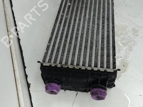 Used Intercooler PEUGEOT 2008 II (UD_, US_, UY_, UJ_, UR_, UC_) 1.5 BlueHDI 110 (UDYHSK) (110 hp) 20932469