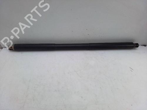Tailgate lift support MERCEDES-BENZ GLE (W166) 250 d 4-matic (166.004) | BP18578084C138 