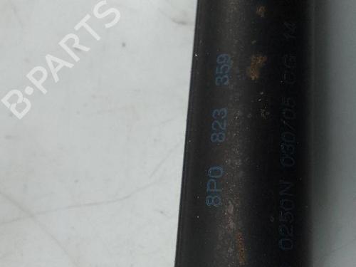 Tailgate lift support AUDI A3 Sportback (8PA) 2.0 TDI | BP24102767C138 
