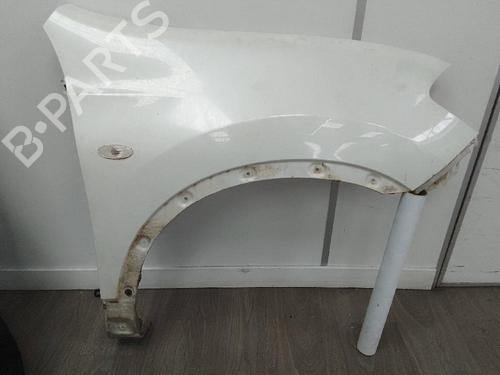 Right front fenders NISSAN QASHQAI / QASHQAI +2 I (J10, NJ10, JJ10E) 1.6 dCi | BP20143863C42 