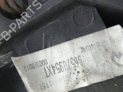 Left mirror CITROËN XSARA PICASSO (N68) 2.0 HDi | BP24218821C26