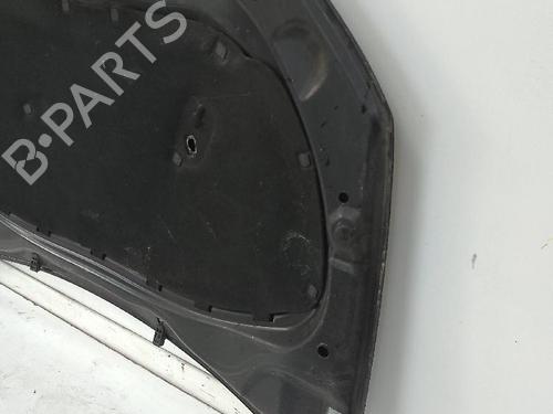 Used Hood VW POLO V (6R1, 6C1) 1.6 TDI (105 hp) 18579281
