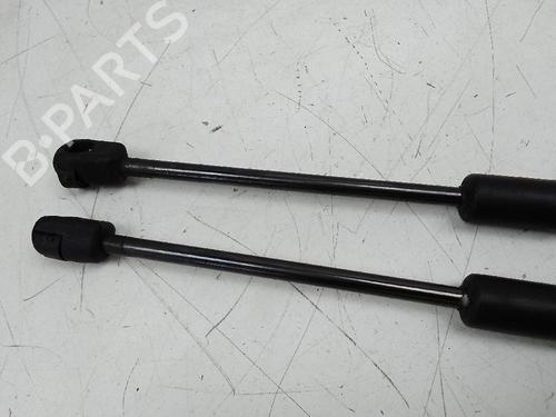 Used Hood lift support CITROËN DS5 1.6 HDi 110 (112 hp) 18586797
