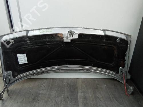 Hood PEUGEOT EXPERT (224_) 2.0 HDI 16V | BP19116844C1 