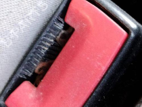 Seat buckle SEAT ALHAMBRA (710, 711) 2.0 TDI | BP18595209I32
