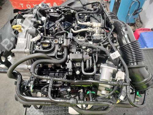 Motor FORD PUMA (J2K, CF7) [2019-2025]  22226485