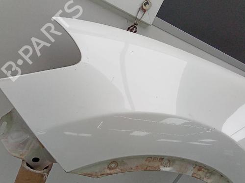 Left front fenders NISSAN QASHQAI / QASHQAI +2 I (J10, NJ10, JJ10E) 1.6 dCi | BP20143864C41 