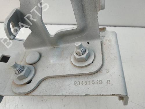 Hinge/Door check strap RENAULT TRAFIC III Van (FG_) 1.6 dCi 90 (FGME) | BP20115463C146