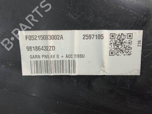 Front left panel CITROËN BERLINGO (ER_, EC_) 1.5 BlueHDi 100 | BP18956815C58