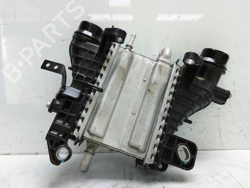 Intercooler RENAULT EXPRESS Box Body/MPV 1.5 Blue dCi 75 (F6AA) | BP28008840M30 