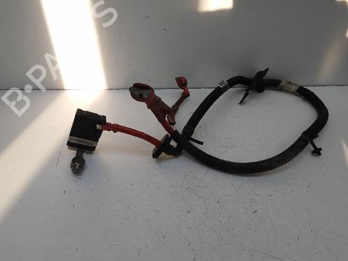 Used Cable LAND ROVER RANGE ROVER SPORT I (L320) 3.0 D 4x4 (256 hp) 19643242