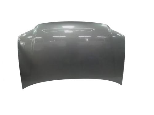 Capot Capot VW CADDY III MPV (2KB, 2KJ, 2CB, 2CJ) 1.9 TDI (105 hp) 20505130 20505130