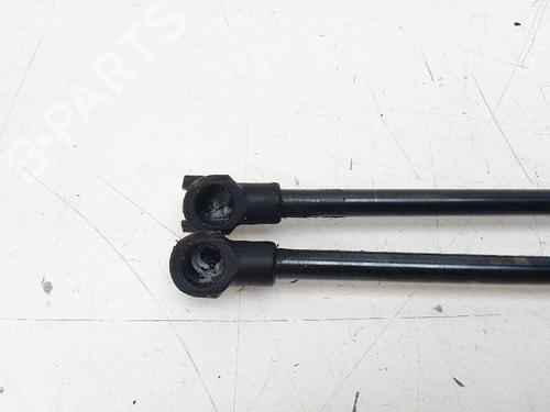 Tailgate lift support RENAULT KADJAR (HA_, HL_) 1.3 TCe 140 (HLNB, HLN1) | BP19137916C138 