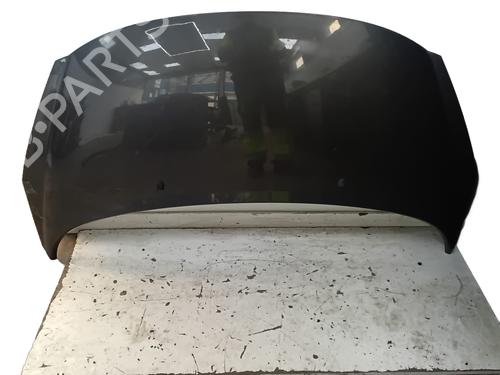 hood-peugeot-207-sw-wk_-2007-2008-2009-2010-2011-2012-2013-32385346 main image