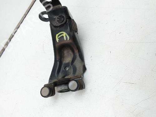 Hinge/Door check strap FORD TOURNEO COURIER B460 MPV 1.0 EcoBoost | BP18596558C146 
