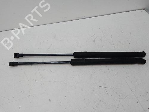 Tailgate lift support RENAULT KADJAR (HA_, HL_) 1.3 TCe 140 (HLNB, HLN1) | BP19137916C138 