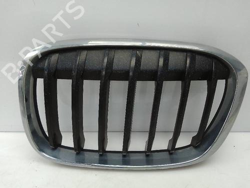 Gitter für BMW X1 (F48) sDrive 18 d (150 hp) 22332904