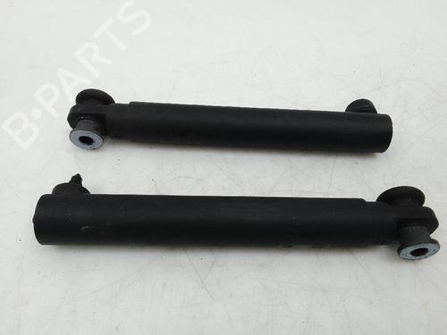 Tailgate lift support BMW X5 (F15, F85) xDrive 30 d | BP22617446C138 