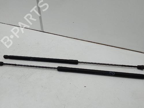 Tailgate lift support FORD C-MAX II (DXA/CB7, DXA/CEU) 1.0 EcoBoost | BP19938449C138 
