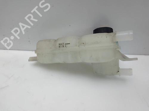 Expansion tank HYUNDAI IONIQ (AE) 1.6 GDI Hybrid | BP21186431C120 
