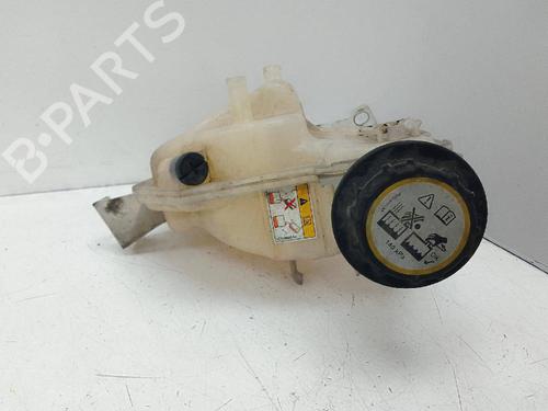 Expansion tank LAND ROVER RANGE ROVER SPORT I (L320) 3.0 D 4x4 | BP19643259C120 