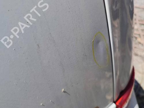 Used Tailgate FORD C-MAX (DM2) 1.6 TDCi (90 hp) 18597527