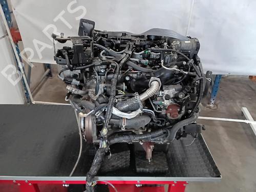 Engine FORD FIESTA VI (CB1, CCN)  | BP27099496M1 