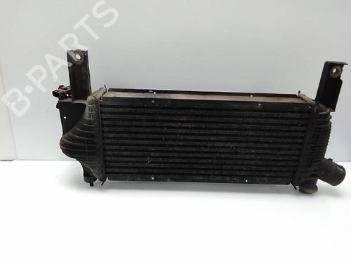 Intercooler NISSAN NAVARA NP300 (D40) 2.5 dCi 4WD (174 hp) 21084823