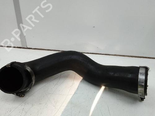 Pipe LAND ROVER RANGE ROVER SPORT I (L320) 3.0 D 4x4 | BP19643244M125