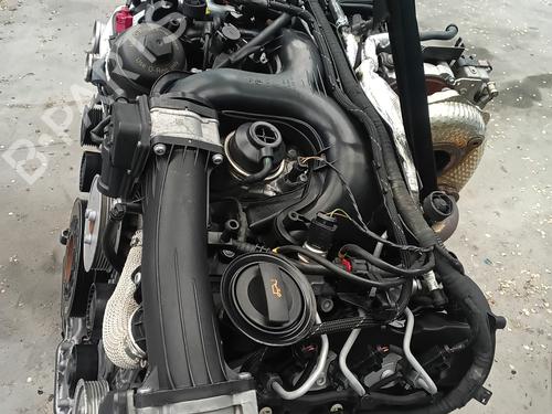 Engine PORSCHE CAYENNE (92A) 3.0 Diesel | BP34209209M1  - Image 5